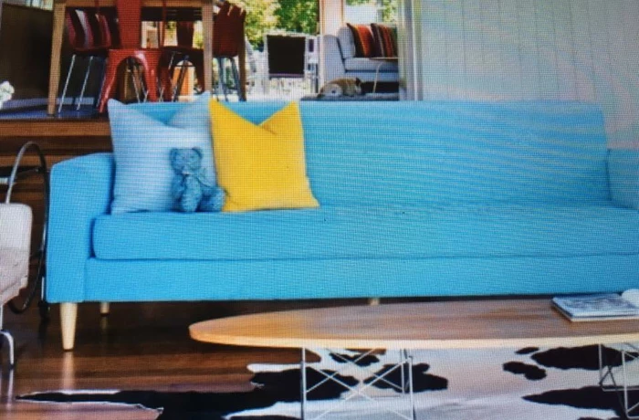blue sofa in room designed by all good stuff